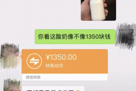 禄丰贷款清欠服务